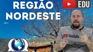 REGIÃO NORDESTE  Geografia  Resumo em 5 minutos  EF07GE11 [upl. by Heddi693]