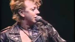 Stray Cats  BeBopALula  Live [upl. by Euqinu]