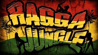 RAGGA JUNGLE  Drum n Bass Mix [upl. by Guss]