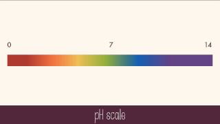 Hydrogen Ions and Acidity [upl. by Imuy]