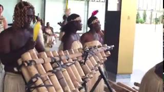 Music of Papua New Guinea Traditional Music [upl. by Randal347]