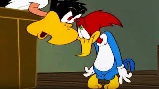 Woody Woodpecker Show  Goldiggers  Full Episode  Cartoons For Children [upl. by Hawley]