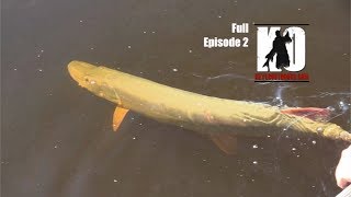 Musky Fishing a Wild River in Minnesota [upl. by Ahseid]