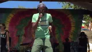 Marlon Asher  Ganja Farmer Live at Reggae On The Mountain 2015 [upl. by Adlanor]