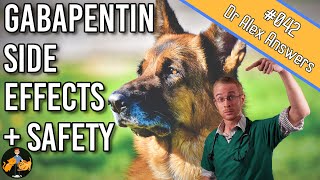 Gabapentin in Dogs  Safety and Side Effects  Dog Health Vet Advice [upl. by Masuh]