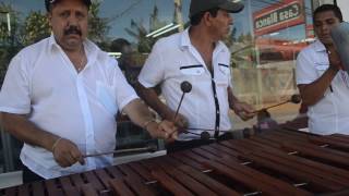 MARIMBA PAMPA COSTEÑA  TINA Santa Crúz 2017 [upl. by Odinevneib898]