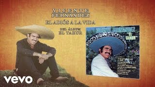 Vicente Fernández  El Adiós a la Vida Cover Audio [upl. by Eladnwahs]