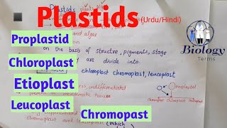 Plastids structure and function  Chloroplast Chromoplast Leucoplast class 11class 9 [upl. by Warford]