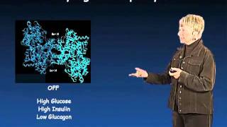 Susan Taylor UCSD Part 1 Protein Phosphorylation in Biology [upl. by Hamimej107]