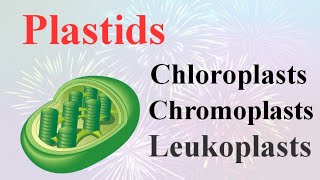 PlastidsChloroplastChromoplast and Leucoplasttheir Function in plants By Smart Learning 47 [upl. by Eiclud913]