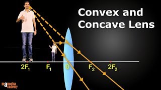 Convex and Concave Lenses [upl. by Swinton]