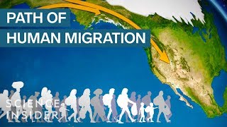 Map Shows How Humans Migrated Across The Globe [upl. by Leila]