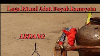 Ledang lagu ritual adat dayak [upl. by Celestia955]