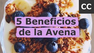 5 Beneficios de la Avena  Ciencia de la Comida [upl. by Gerard521]