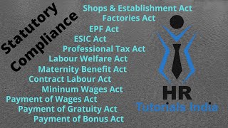 Statutory Compliance  Labour Law Compliance  HR Tutorials India  What is Statutory Compliance [upl. by Mayrim153]