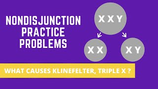 NONDISJUNCTION PRACTICE PROBLEMS KLINEFELTER SYNDROME TRIPLE X SYNDROME [upl. by Crowell638]