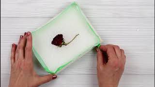 RESIN TUTORIALS  How To Embed FLOWERS Into EPOXY RESIN [upl. by Pump]