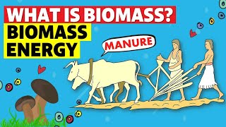 Biomass Energy [upl. by Odel973]