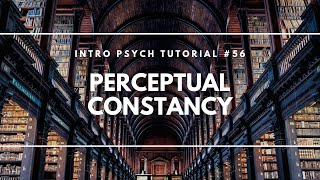 Perceptual Constancy Intro Psych Tutorial 56 [upl. by Eniamrej35]