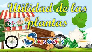 Utilidad de las plantas [upl. by Ynattib]