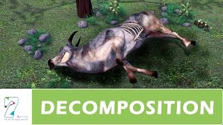 DECOMPOSITION  PART 01 [upl. by Haney]