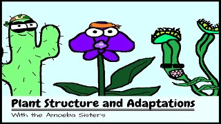 OLD VIDEO Plant Structure and Adaptations [upl. by Vernor461]