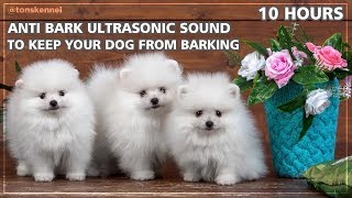 10 Hours Ultrasonic Sound To Stop Your Dog From Barking  Anti Bark Control [upl. by On873]