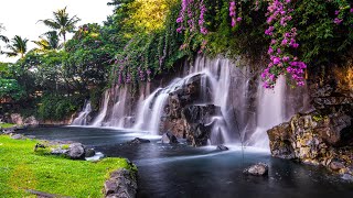 Relaxing Zen Music with Water Sounds • Peaceful Ambience for Spa Yoga and Relaxation [upl. by Dinsmore]