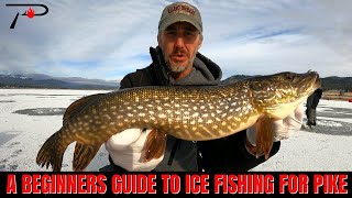 A Beginners Guide To Ice Fishing For Pike [upl. by Ellehcal]