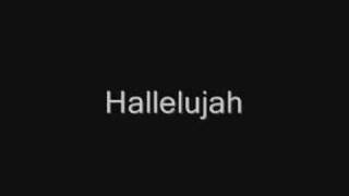 John Cale  Hallelujah Lyrics best version [upl. by Sherilyn]