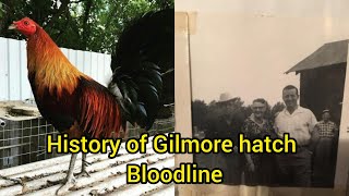 Gilmore Hatch History [upl. by Sug]