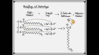 Verseifung eines Fettmoleküls [upl. by Alyt]