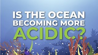 Ocean acidification [upl. by Yatnahc]