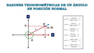 RAZONES TRIGONOMÉTRICAS DE UN ÁNGULO EN POSICIÓN NORMAL [upl. by Ayim523]