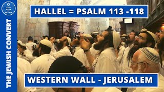 HALLEL at The Western Wall  Psalm 113118  English Subtitles [upl. by Loats]