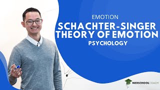 SchachterSinger Theory of Emotion [upl. by Yvan752]