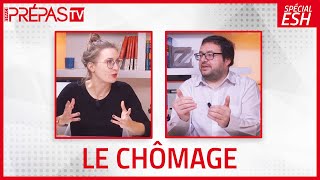 Chapitre 13  Les causes du chômage [upl. by Yblocaj]