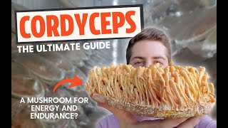 Zombie Fungus or Energy Mushroom The Ultimate Guide To Cordyceps [upl. by Nolrah]