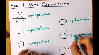 How to Name Cycloalkanes  6 Examples [upl. by Nomael]