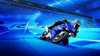 2020 Yamaha R6 Respect R World [upl. by Htebazle]