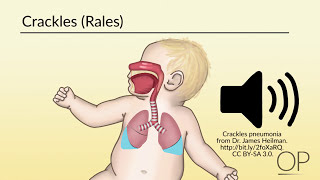 How breathing works  Nirvair Kaur [upl. by Nayd932]