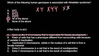 Klinefelter syndrome and Barr body explained [upl. by Nonnahs]