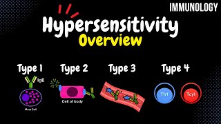 Hypersensitivity Reactions Type 14  Immunology [upl. by Nonnahsal]