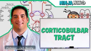 Neurology  Descending Tracts Corticobulbar Tract [upl. by Hsirahc]