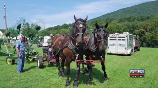 Botetourt County Fair Underway [upl. by Aleyam]