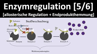 Allosterische Regulation  Endprodukthemmung  Enzymregulation 56  Biologie Oberstufe [upl. by Whatley]