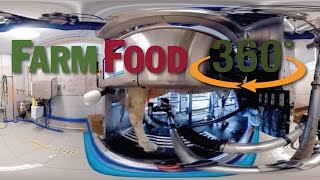 FarmFood360°  Voluntary Milking System Dairy Farm [upl. by Obadiah706]