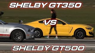 Shelby GT350 vs Shelby GT500 [upl. by Aurore]