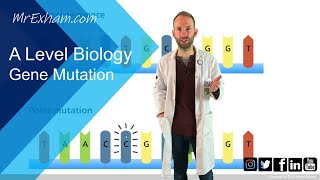 Gene mutation  A Level Biology [upl. by Yeaton]