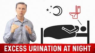 How to Fix Frequent Urination at Night Nocturia – Dr Berg [upl. by Ahtenek]